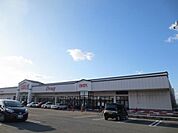ナイス外旭川店(1、800m)