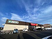 ツルハドラッグ秋田牛島店(1、100m)