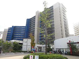 ミリカヒルズ2街区