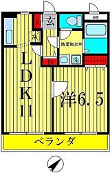 JR常磐線 新松戸駅 徒歩16分の賃貸マンション 3階1LDKの間取り