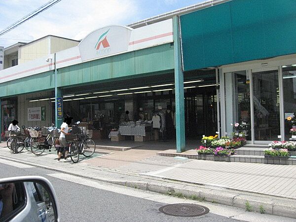 画像15:Aコープ京都中央岩倉店（630m）
