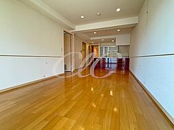 JR横須賀線 武蔵小杉駅 徒歩4分の賃貸マンション 3階1SLDKのリビング/ダイニング