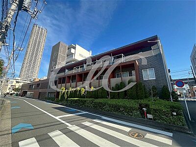 外観 外観