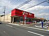 周辺：ヤオコー大宮盆栽町店 256m