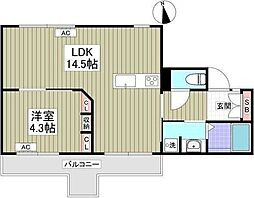 エトワール大成町 4階1LDKの間取り