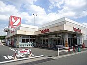 ヤオコー大宮宮原店 783m