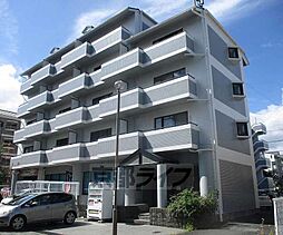 近鉄京都線 向島駅 徒歩11分の賃貸マンション