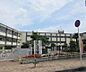 周辺：平野小学校まで959m