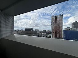 展望
