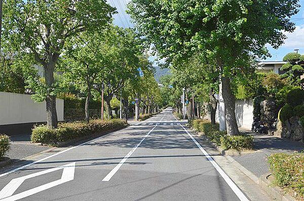 兵庫県芦屋市大原町(賃貸マンション2DK・4階・34.00㎡)の写真 その27