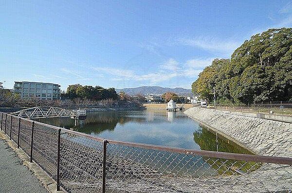 兵庫県西宮市広田町(賃貸マンション1K・3階・16.74㎡)の写真 その14