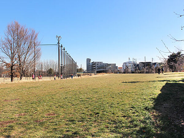 画像17:【公園】赤羽自然観察公園まで736ｍ