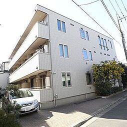 フィカーサ いちょうの木
