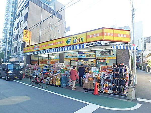 画像29:【ドラッグストア】どらっぐぱぱす 板橋清水町店まで482ｍ