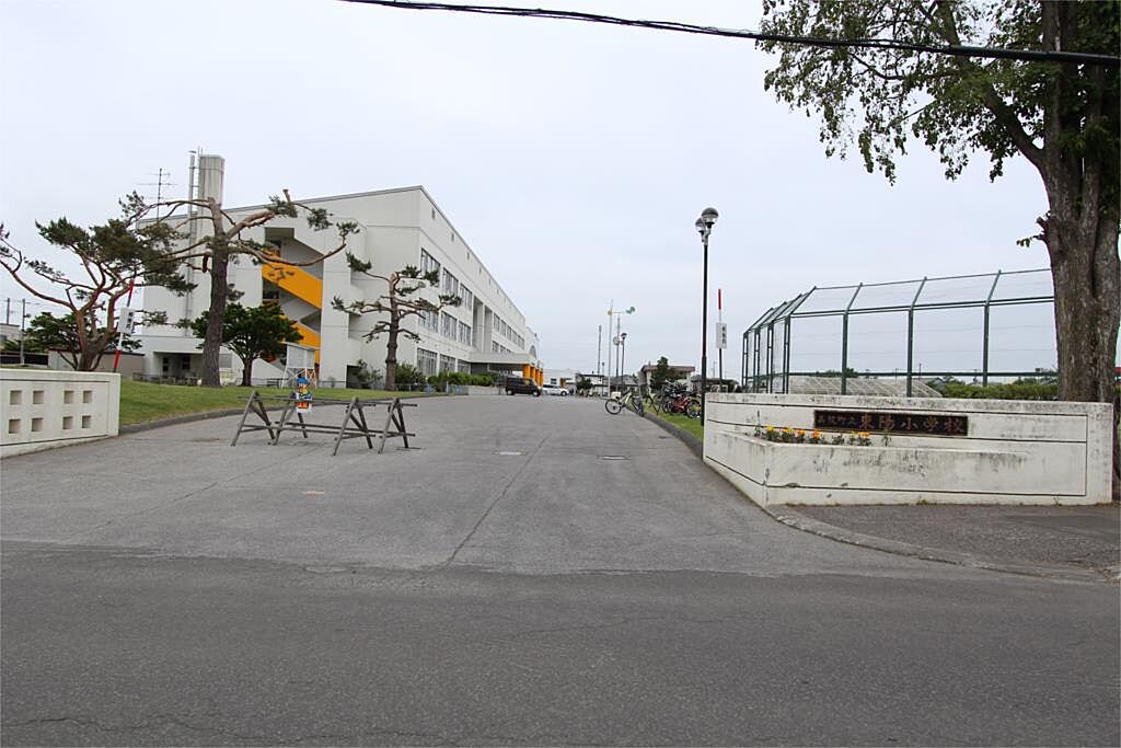 Image 19
