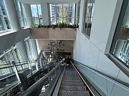 15 / 32