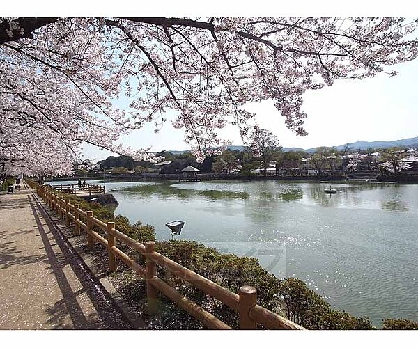 京都府長岡京市天神1丁目(賃貸アパート1K・1階・27.08㎡)の写真 その30