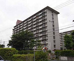 近鉄京都線 向島駅 徒歩4分の賃貸マンション