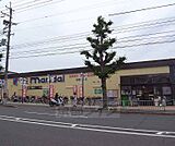 万代 嵯峨広沢店まで276m 丸太町通り沿いにございます 駐車場も広めです