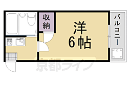 ドリーム・カム桂
