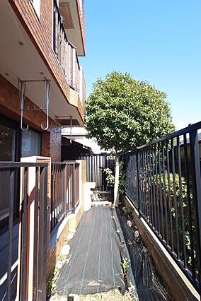 庭