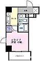 プリモレガロ西大島7階8.1万円