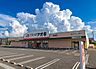 周辺：クスリのアオキ井野店 徒歩11分。 870m