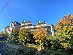 南大沢学園一番街