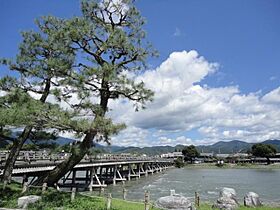 グランドゥール桂坂  ｜ 京都府京都市西京区大枝沓掛町（賃貸マンション3LDK・5階・60.41㎡） その29