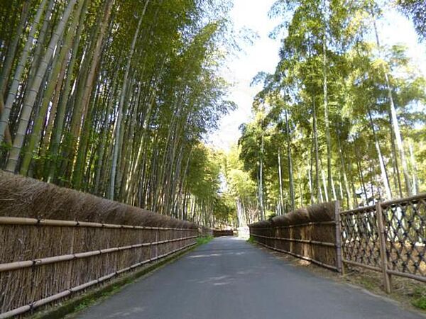 寺戸町乾垣内貸家（43-10） ｜京都府向日市寺戸町乾垣内(賃貸一戸建4DK・1階・77.64㎡)の写真 その17