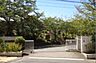 周辺：【小学校】北諏訪小学校まで530ｍ