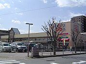 京都生活協同組合 コープ城陽（674m）