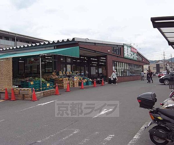 画像23:業務スーパー 太秦店まで362m 丸太町通りのマツモトを目印に その道挟んで隣です