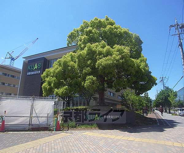 京都府京都市中京区壬生淵田町(賃貸マンション1LDK・2階・42.65㎡)の写真 その19