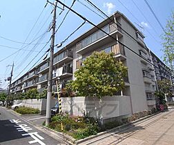 京都ロジュマン島町Ａ棟 509 ｜ 京都府京都市南区西九条島町（賃貸マンション3LDK・5階・61.41㎡） その1