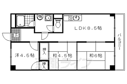 ハイツ桂A棟 3DKの間取図画像