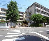 長岡第三中学校まで500m