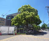 京都先端科学大学（太秦）まで1500m