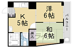 プラザ上桂 5階/501