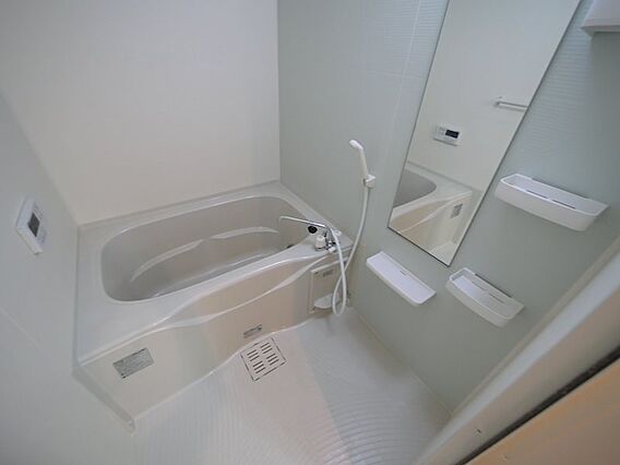 ラテラスB_その他_0