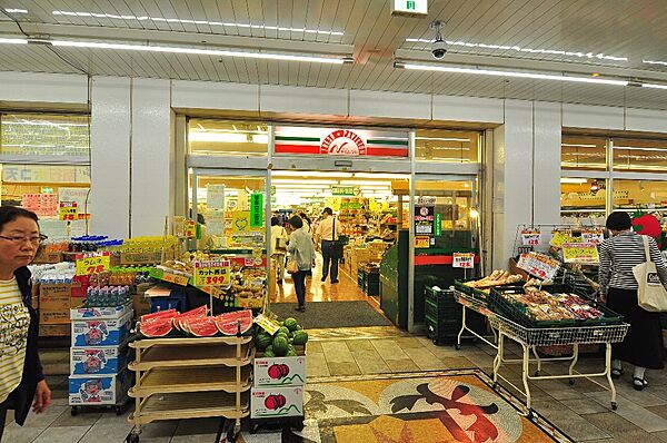 千葉県市川市南行徳１丁目(賃貸マンション3LDK・3階・55.00㎡)の写真 その19