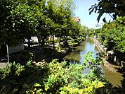 左近川親水公園（623m）