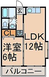 シャトル　若葉 2階1LDKの間取り