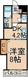 ソフィアコート 4階1DKの間取り