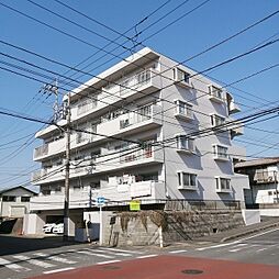 スカイコート西都賀 303