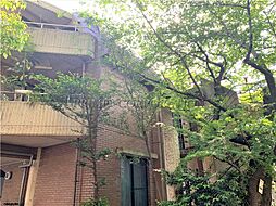 ドミナーレサクマ