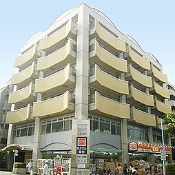 カーサクロヤナギ