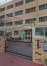 中野区立塔山小学校（800m）