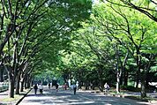都立駒沢公園西口（712m）