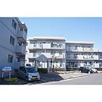 愛知県名古屋市中川区新家3丁目3401：物件画像／部屋セレブ中村店　株式会社S-point
